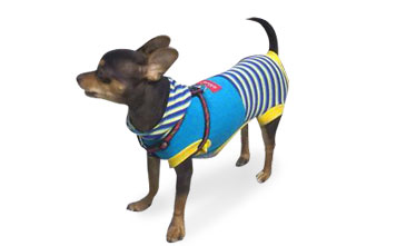Ropa Chiva, Prendas y accesorios para mascotas