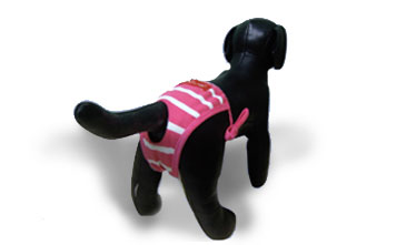 Ropa Chiva, Prendas y accesorios para mascotas